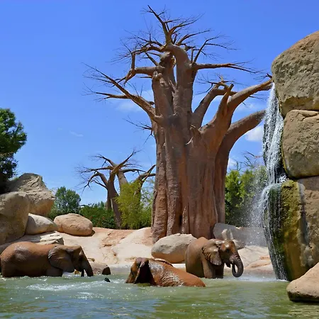 Espectacular Loft Piscina Y Terraza - Roig Arena - Ciencias - Ruzafa - Centro Valencia